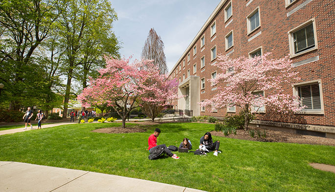 students sitting on grass in front of stroud hall