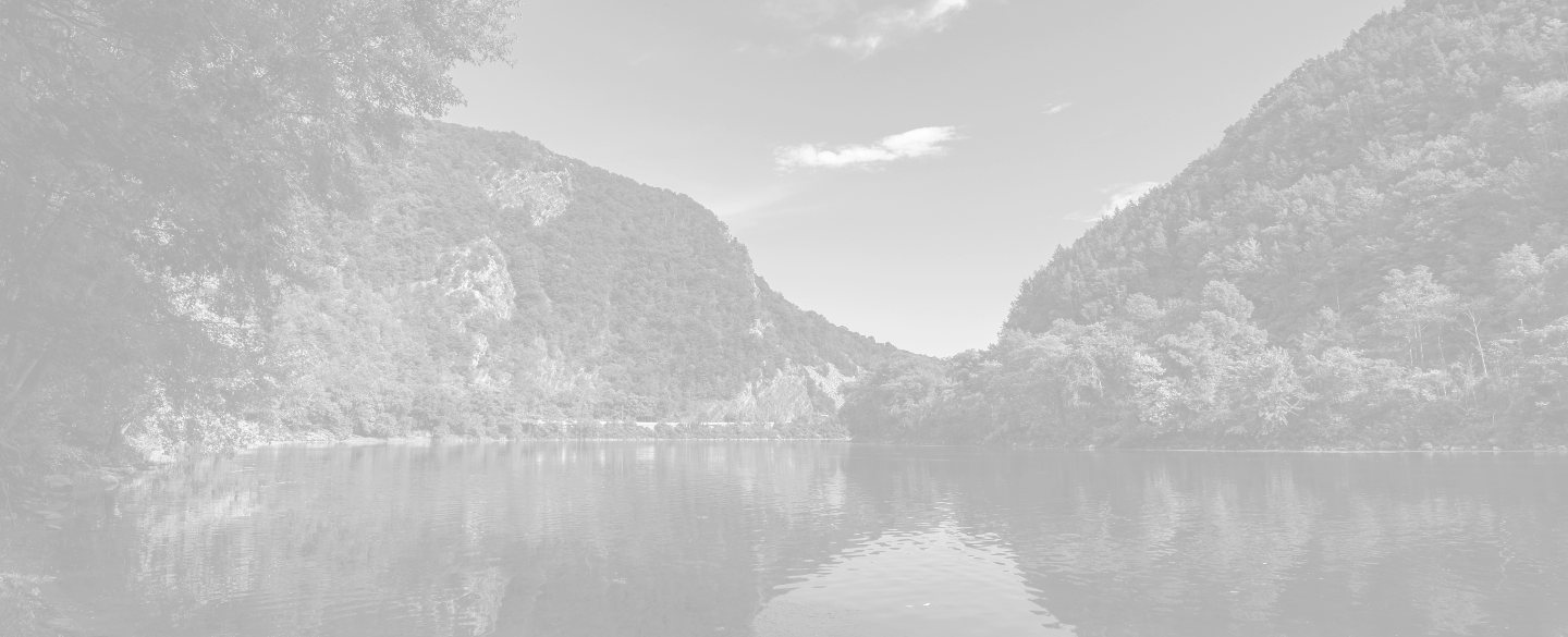 Site Footer Background