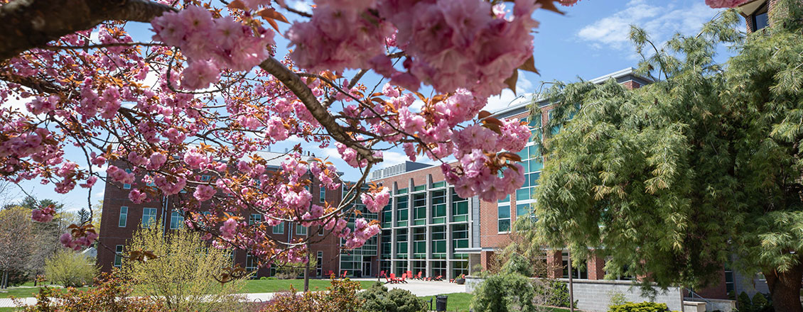 Campus scene of Science & Technology building in the spring