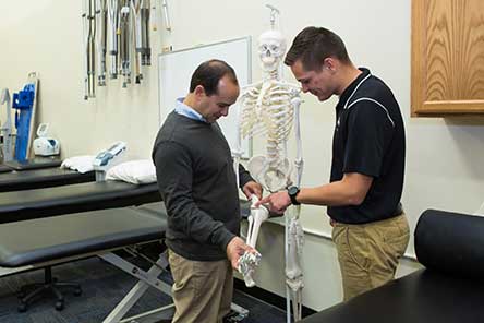 two faculty members examining a leg bone of skeleton