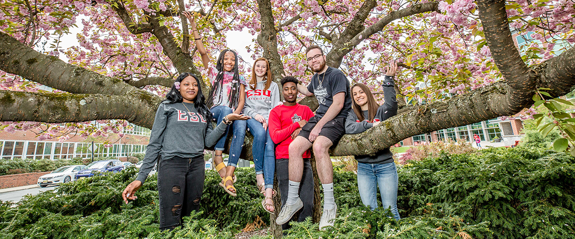 Six students sitting in tree with spring foliage