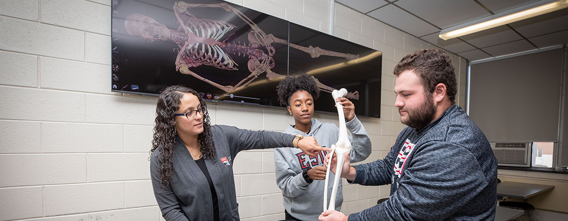 faculty and students reviewing the bone structure of the human leg