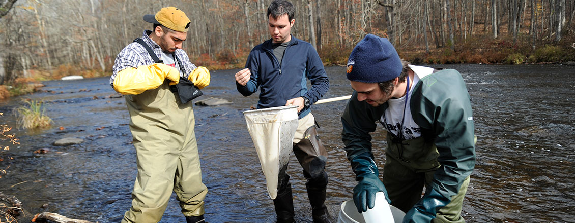 Big Bushkill Creek