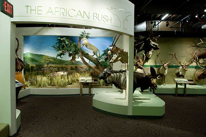 Schisler Museum of Wildlife & Natural History