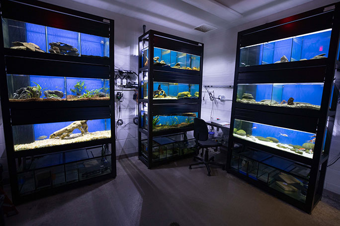 aquatic lab