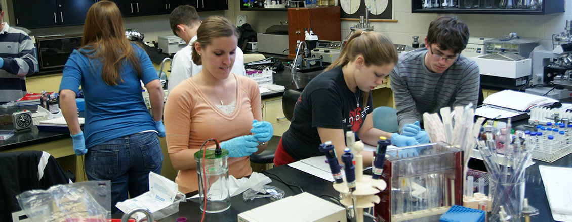 students in the lab doing research