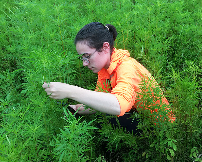 student examining plant life