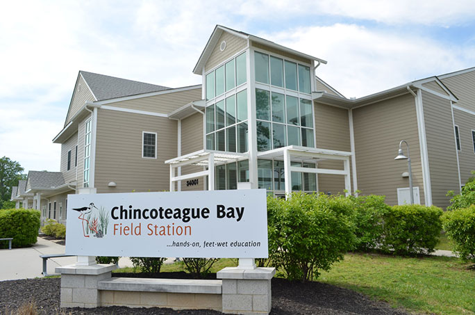 chincoteague field station