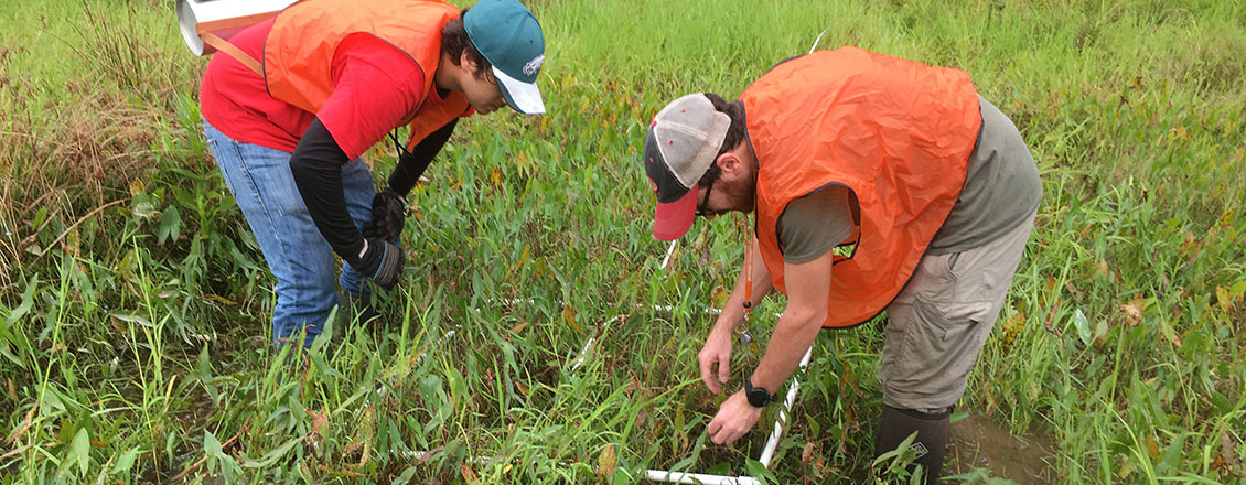 2 students in the field doing experiments