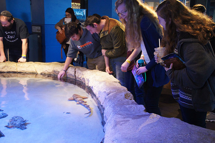 Student looking at fish in aquarium