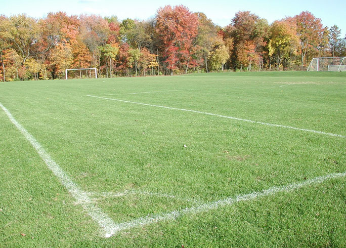 Mary Street Athletic Fields