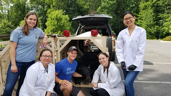 Summer 2018 interns posing outdoors