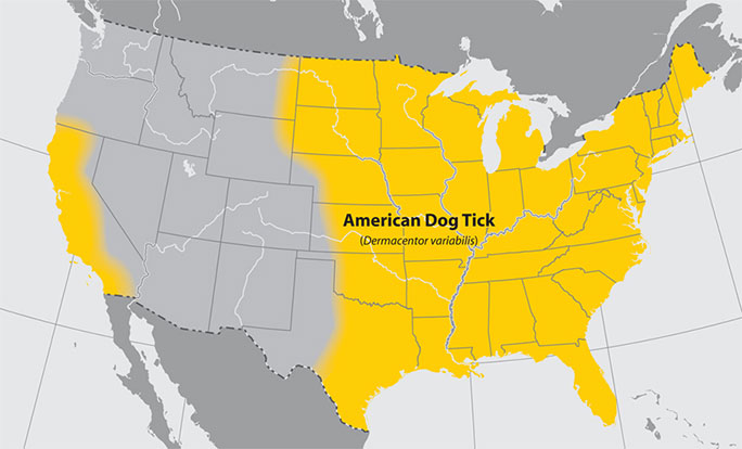 Map of American Dog Tick, showing prevalence throughout the eastern half of the United States and in some areas along the west coast.