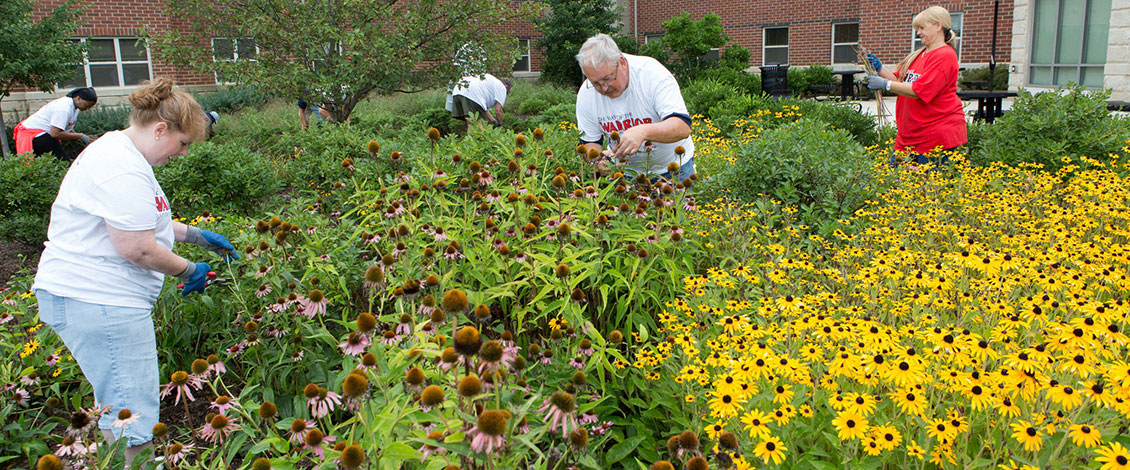 Annual campus clean-up day