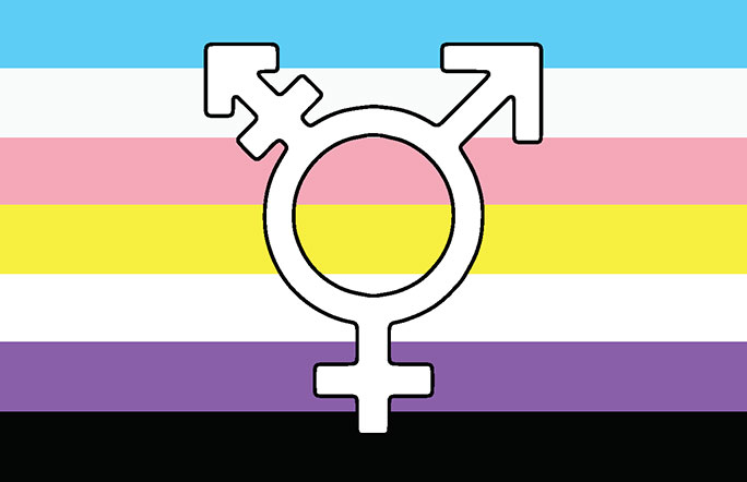 the trans and nonbinary flag