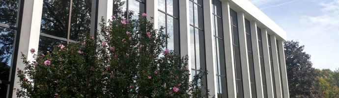 Image Caption