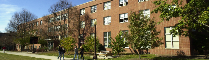 Image Caption