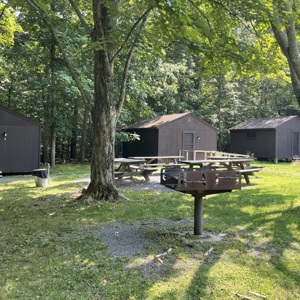 Multiple cabins