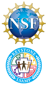 nsf and lsamp logos