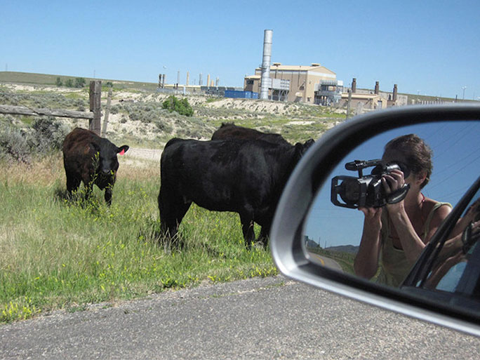 Margaret Cogswell - A portrait of Margaret Cogswell through the side car mirror. The artist is holding a camera that us directed by cows grazing in a pasture near the road