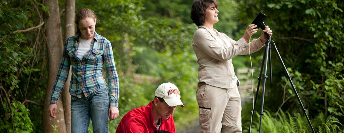 Students in the woods doing bat research