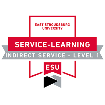 indirect service badge level 1