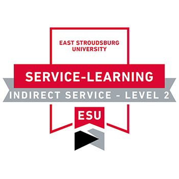 indirect service badge level 2