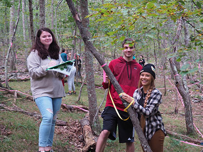 forest plat research